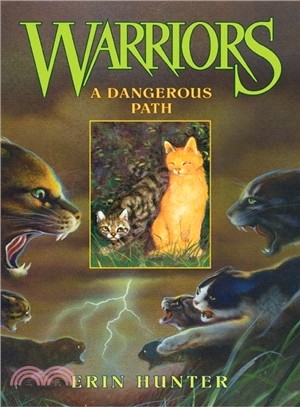 #5: A Dangerous Path