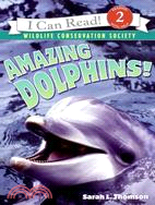 Amazing dolphins!