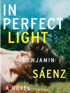 In Perfect Light ─ A Novel