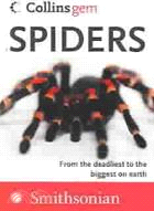 Spiders