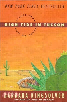 High Tide in Tucson ─ Essays from Now or Never
