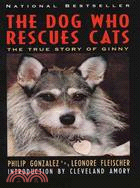 The Dog Who Rescues Cats ─ The True Story of Ginny