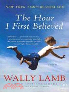 The hour I first believed :a novel /