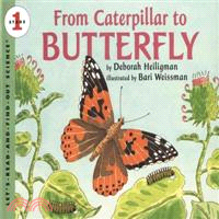 From Caterpillar to Butterfly (Let's-Read-and-Find-Out Science 1, Big Book)