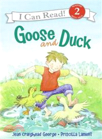 Goose and Duck