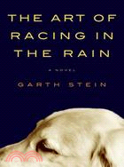 The art of racing in the rain :a novel /