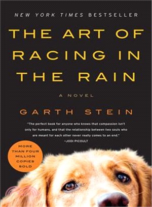 The art of racing in the rain :a novel /