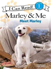 Meet Marley /