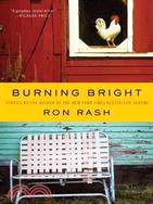 Burning Bright: Stories