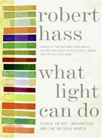 What Light Can Do ─ Essays on Art, Imagination, and the Natural World