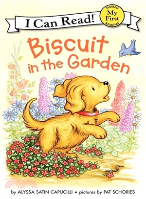 Biscuit in the garden