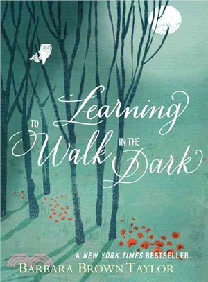 Learning to Walk in the Dark