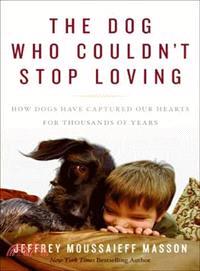 The Dog Who Couldn't Stop Loving: How Dogs Have Captured Our Hearts for Thousands of Years