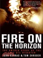 Fire on the Horizon ─ The Untold Story of the Gulf Oil Disaster