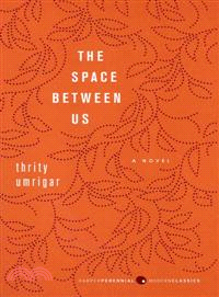 The Space Between Us ─ A Novel