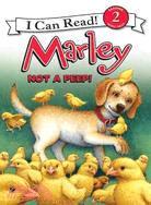 Marley : not a peep!