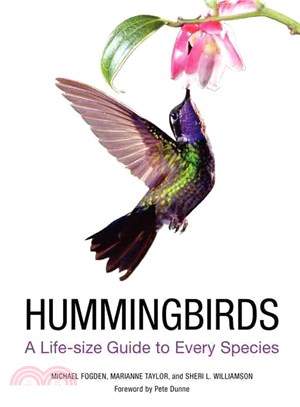 Hummingbirds ─ A Life-Size Guide to Every Species