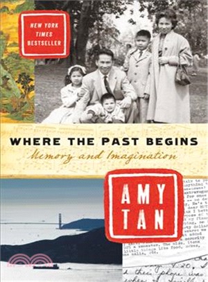 Where the past begins :memory and imagination /