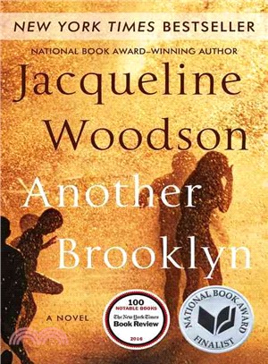Another Brooklyn :a novel /