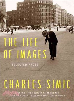 The Life of Images ─ Selected Prose