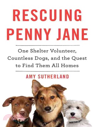 Rescuing Penny Jane ─ One Shelter Volunteer, Countless Dogs, and the Quest to Find Them All Homes