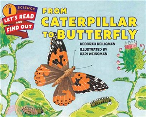 From Caterpillar to Butterfly (LEVEL 1)