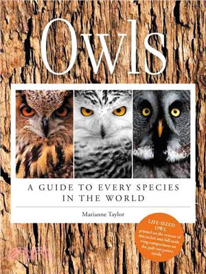 Owls ─ A Guide to Every Species in the World