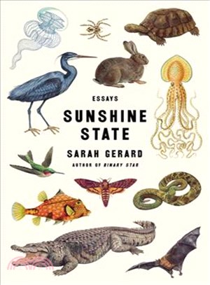 Sunshine state :essays /