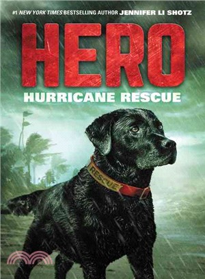 Hurricane Rescue
