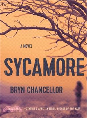 Sycamore