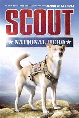 Scout ― National Hero