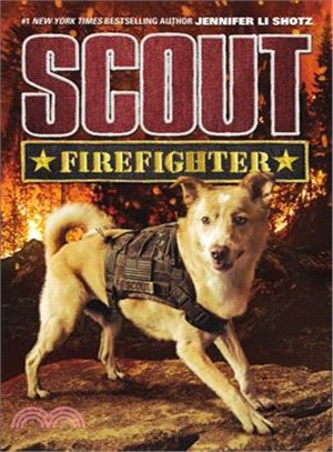 Scout ;Firefighter /