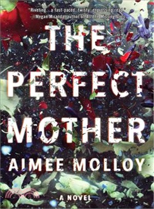 The Perfect Mother (平裝本)
