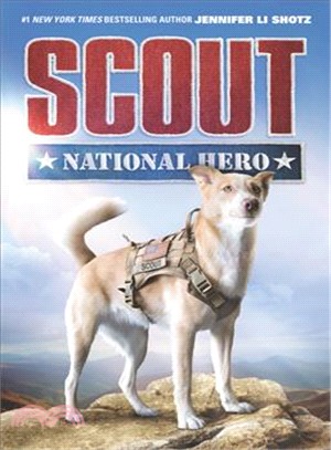 Scout ― National Hero