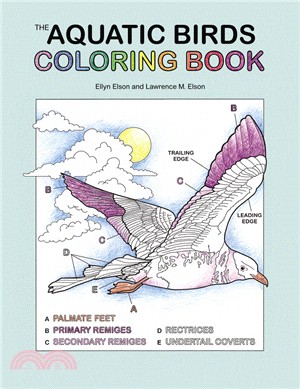 Aquatic Birds Coloring Book, The