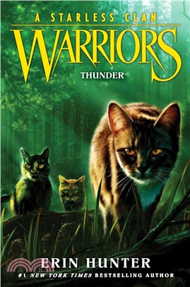 #4: Thunder (Warriors: A Starless Clan)