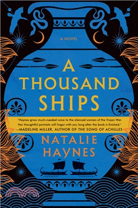 A thousand ships :a novel /