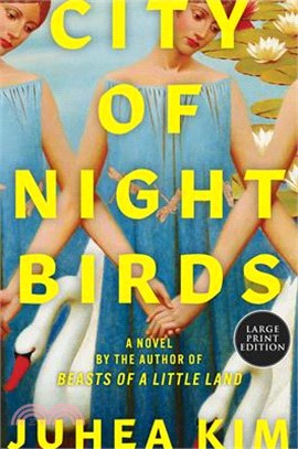 City of Night Birds: A Novel (Large Print)