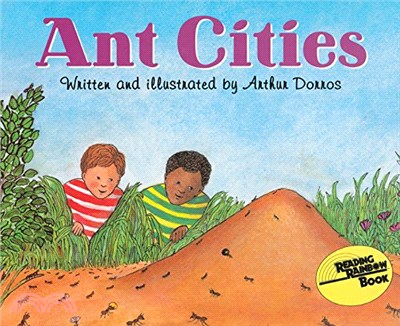 Ant Cities /