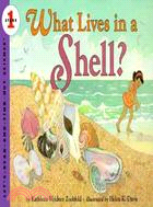 What lives in a shell? /