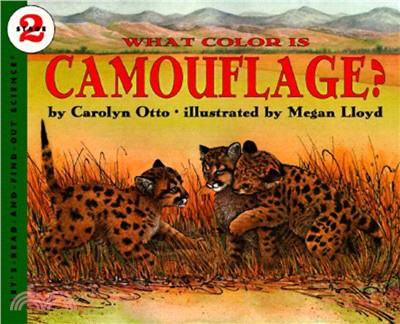 What Color Is Camouflage? (Stage 2)