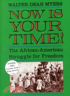 Now Is Your Time! ─ The African-american Struggle for Freedom