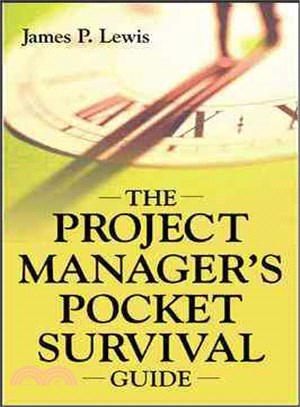 THE PROJECT MANAGER\