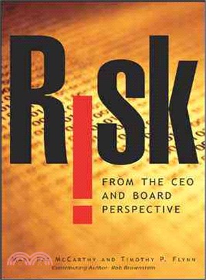 Risk from the Ceo and Board Perspective | 拾書所