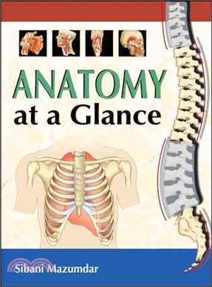 Anatomy at a Glance