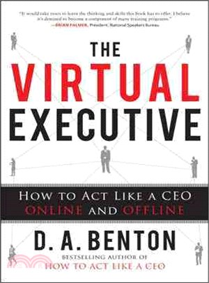 The Virtual Executive