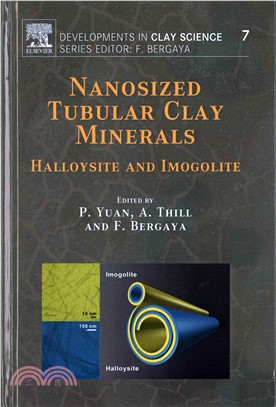 Nanosized Tubular Clay Minerals ― Halloysite and Imogolite