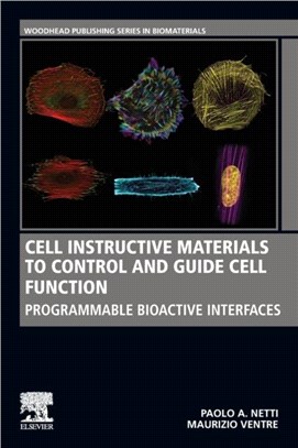Cell Instructive Materials to Control and Guide Cell Function：Programmable Bioactive Interfaces