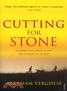 Cutting for stone :a novel /