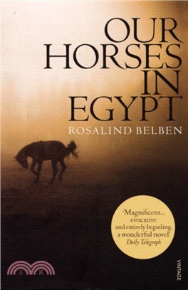 Our Horses in Egypt